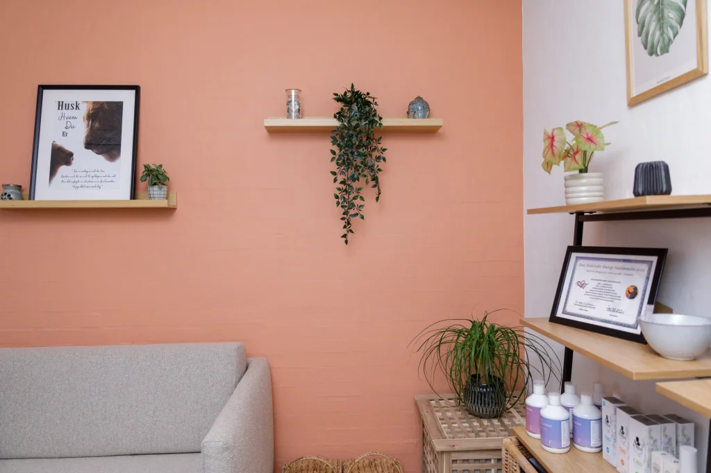 Indretning af Wetalias klinik med reoler og planter