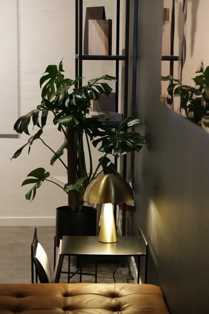 Stemningsdetalje med plante og messinglampe i showroom